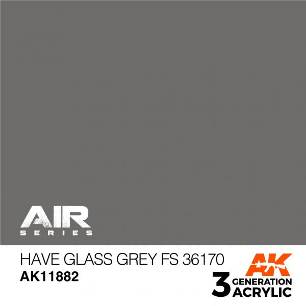 AK 3RD GEN HAVE GLASS GREY FS36170