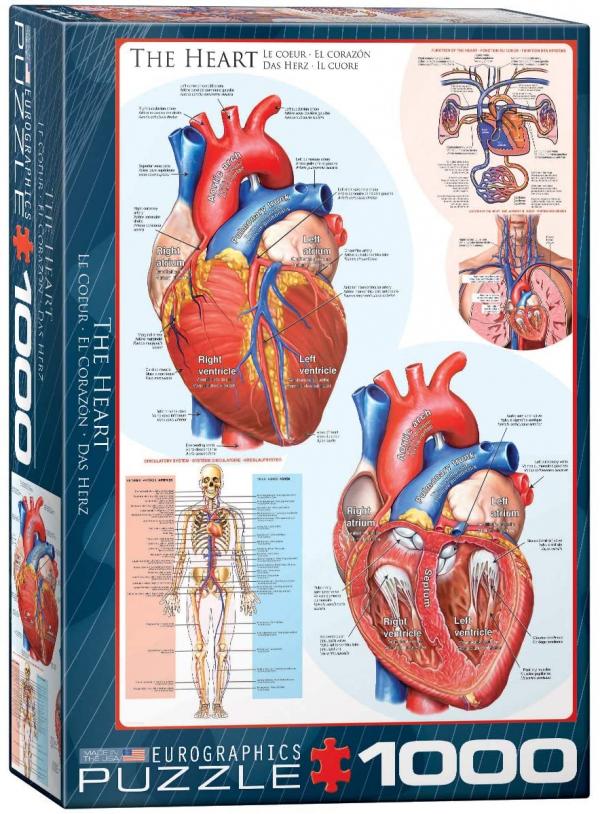 EUROGRAPHICS THE HEART 1000pce PUZZLE